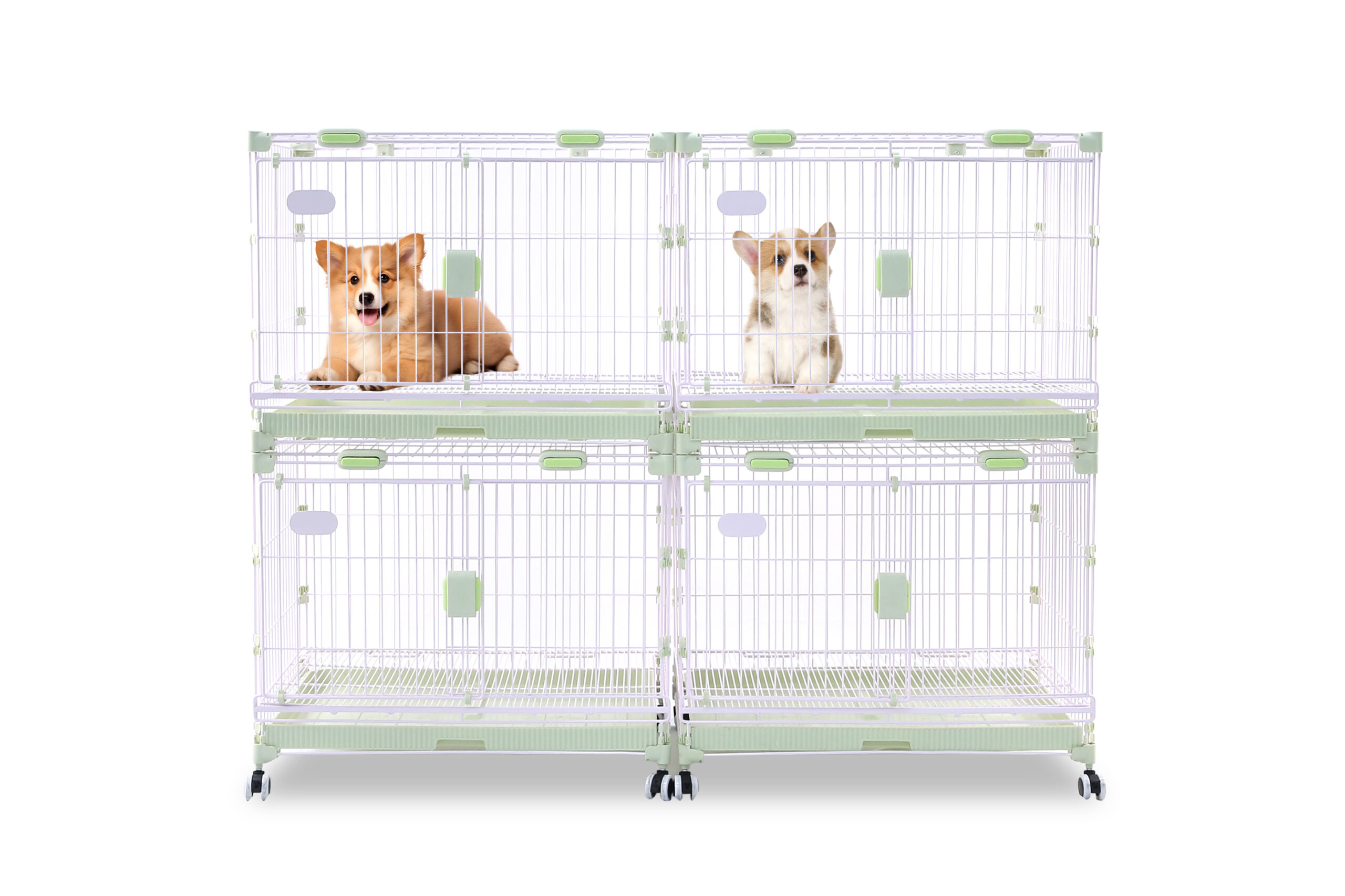 Molan Large Size Dog Crate